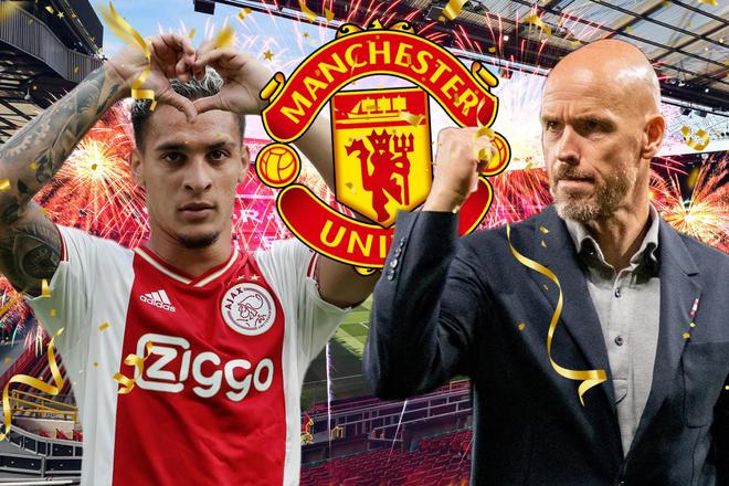 他们植根于 他们植根于